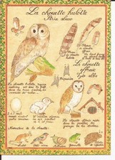 CP d'Art LA CHOUETTE HULOTTE /